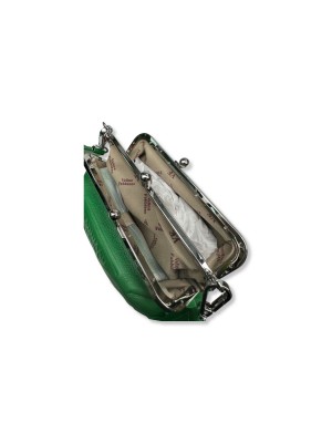 Женская сумка Velina Fabbiano 970100-green